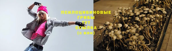 МДПВ Киреевск